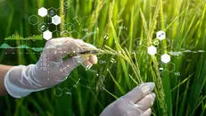 Via libera del Consiglio dell'Unione Europea alle Tea