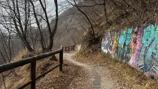 La strada rurale - © www.giornaledibrescia.it