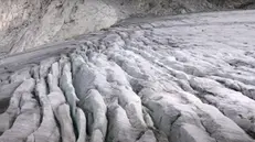 Grandi crepacci. Si sono aperti sul ghiacciaio dell’Adamello
