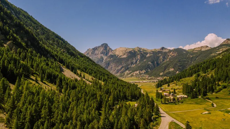 Una buona gestione dei boschi previene il rischio idrogeologico e di incendi