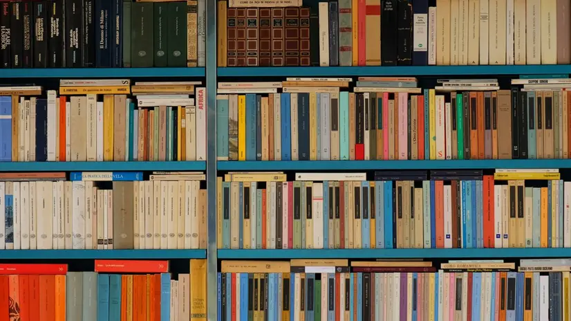 Una libreria con scaffali fitti di libri - Ria per Unsplash