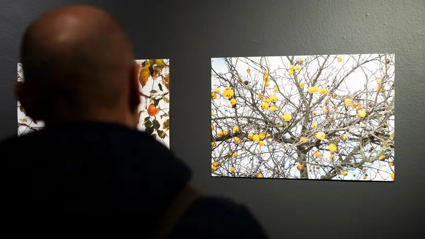 La mostra a Palazzo Callas è a ingresso libero