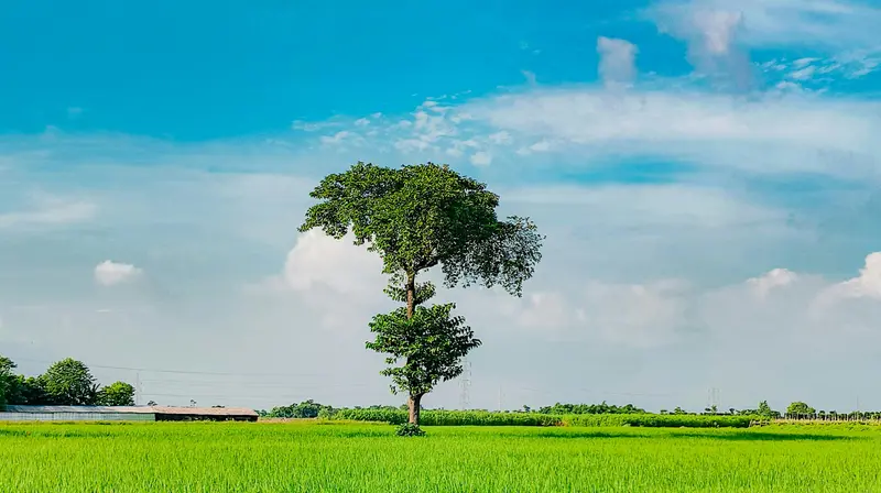 Il 22 aprile si celebra la Giornata della Terra