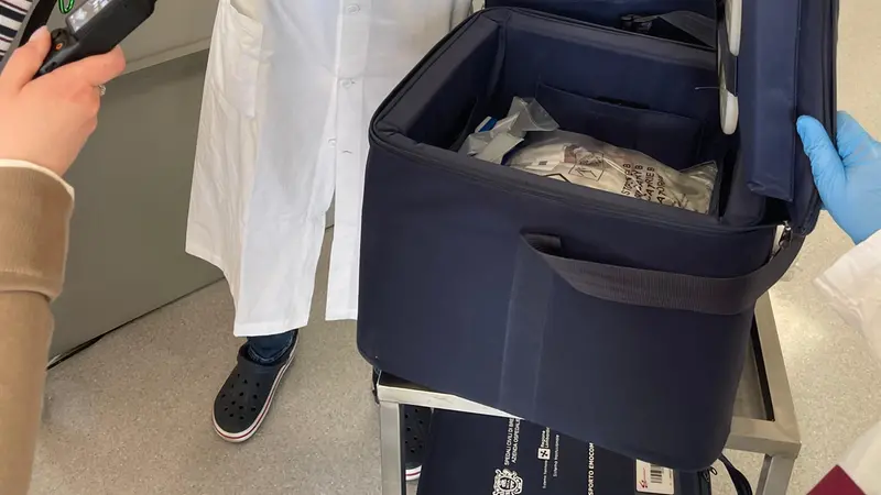 I contenitori con le sacche tracciate grazie a un sistema a radio-frequenza