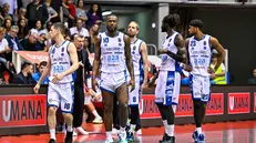 La Germani, vittoriosa a Trieste - © Lodolo Ciamillo-Castoria