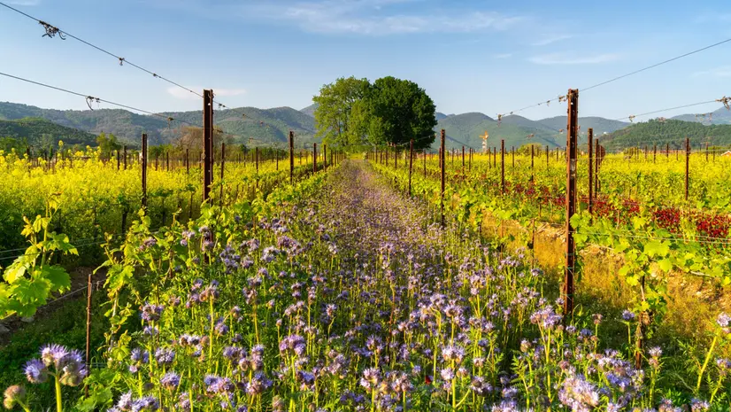 Itinerari adatti a tutti, anche alle famiglie