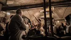 Molte le cantine che si aprono a turisti e appassionati