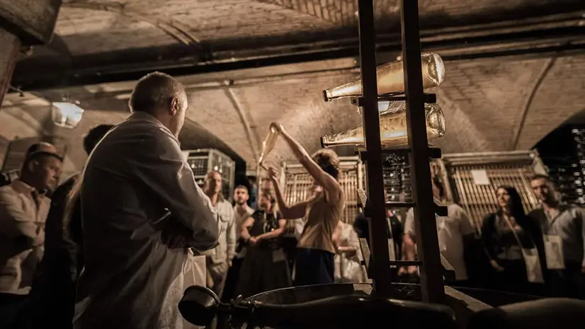 Molte le cantine che si aprono a turisti e appassionati
