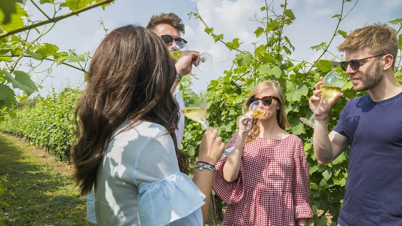 La Franciacorta è un territorio che si può scoprire anche in gruppo