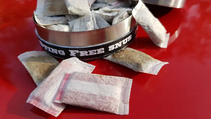 Sacchetti di snus
