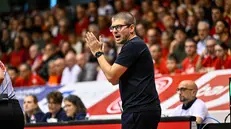 Matteo Cotelli, a bordo campo a Trieste - © G. Lodolo Ciamillo-Castoria