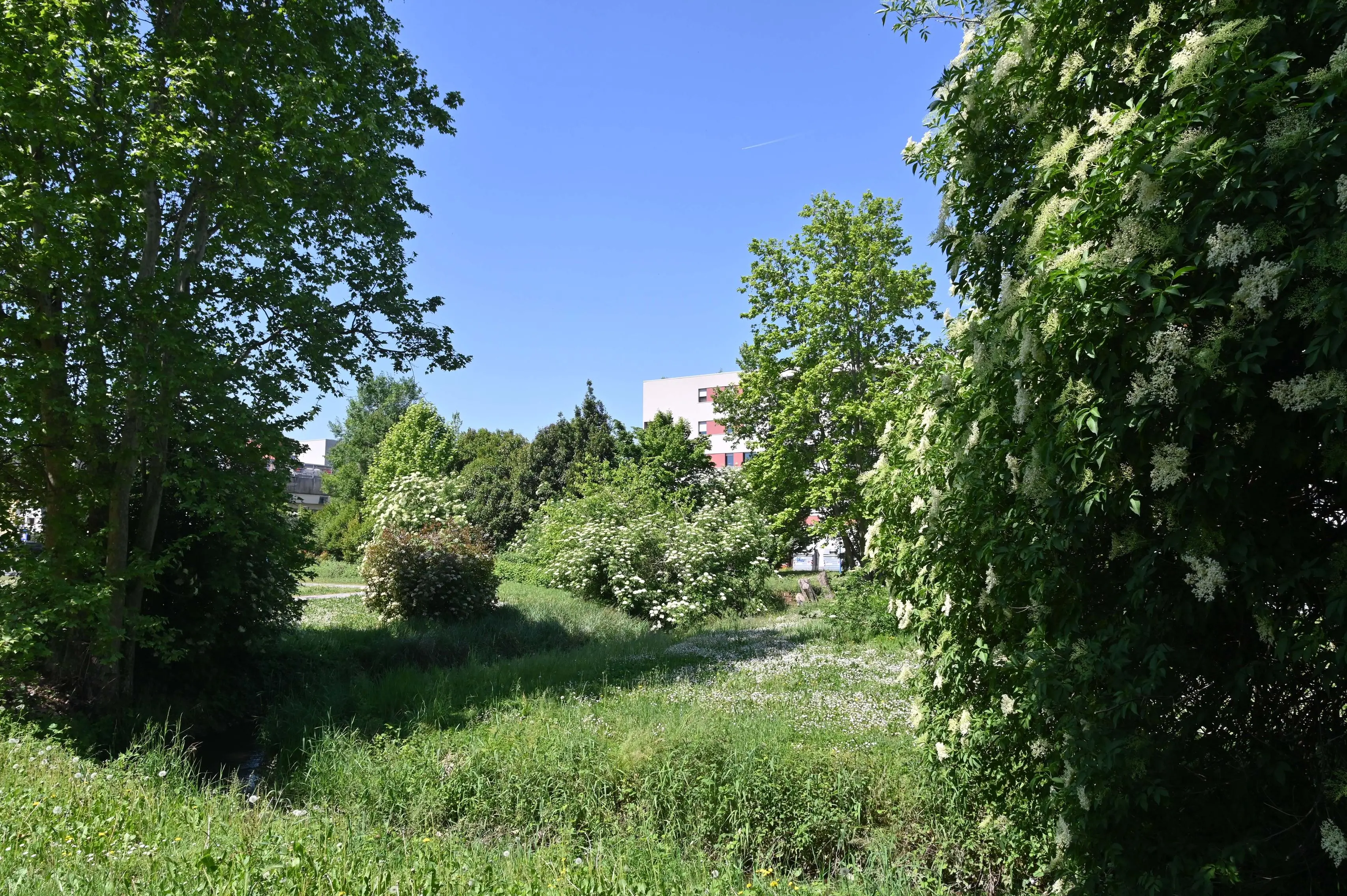 CRONACA BRESCIA SANPOLINO NUOVE ABITAZIONI E AREE FUTURE COSTRUZIONI REDAZIONE CRONACA 24-04-2026 GABRIELE STRADA NEW EDEN GROUP