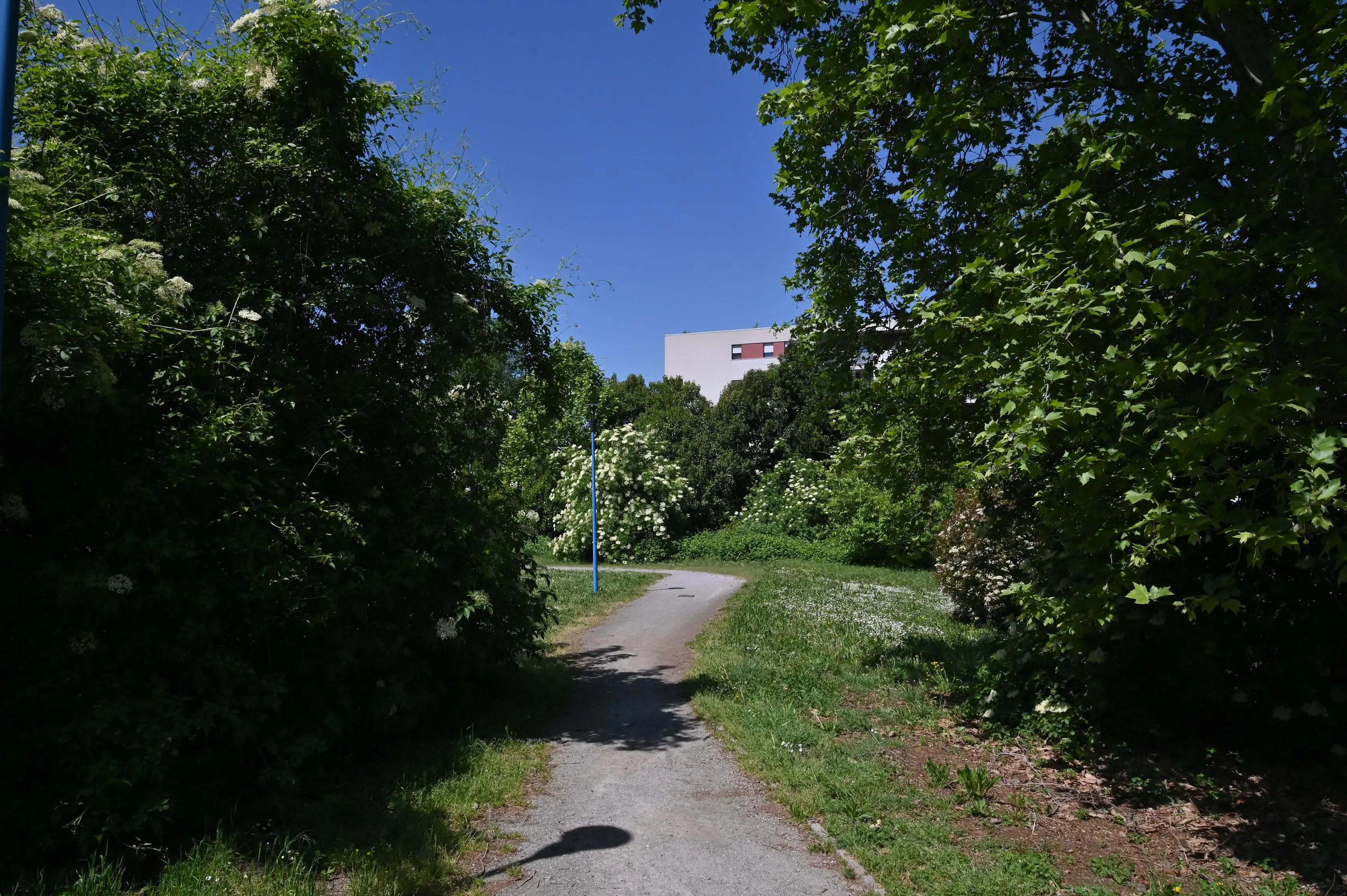 CRONACA BRESCIA SANPOLINO NUOVE ABITAZIONI E AREE FUTURE COSTRUZIONI REDAZIONE CRONACA 24-04-2026 GABRIELE STRADA NEW EDEN GROUP