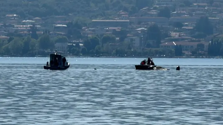 Le ricerche nel lago