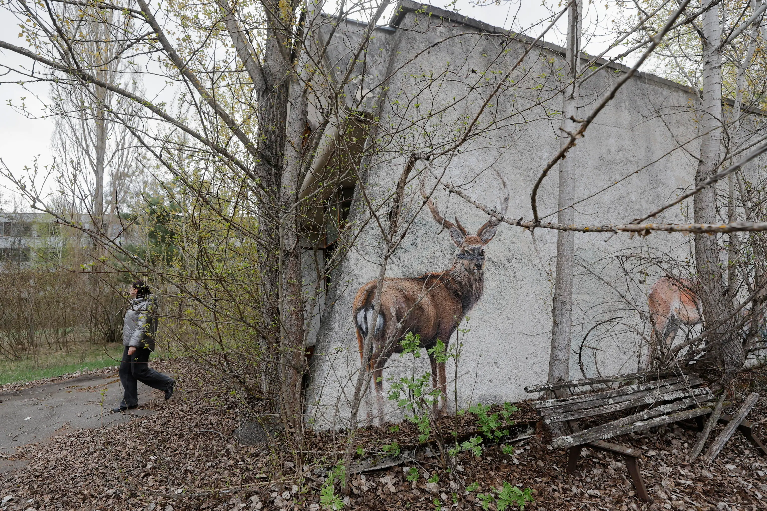 Chernobyl 40 anni dopo