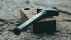 Il detto dice: Màsa e cóne per faghela capì al Tone!