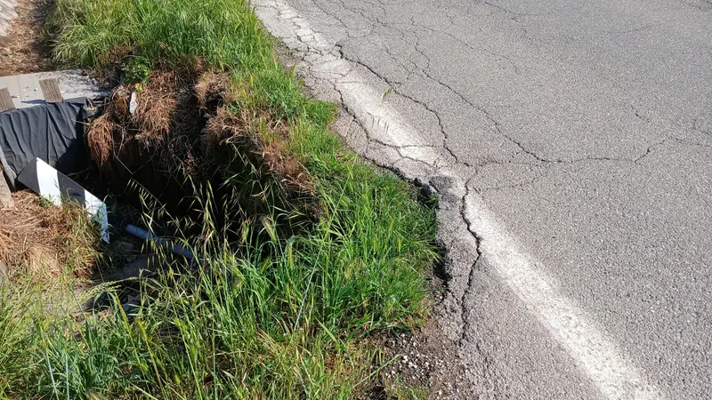 Ghedi: un tratto della ex Sp 65 diventerà a senso unico - © www.giornaledibrescia.it