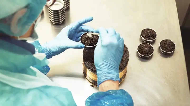 Le uova di storione prodotte e confezionate a Calvisano