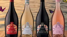 La nuova linea interpreta il carattere dei vini gardesani