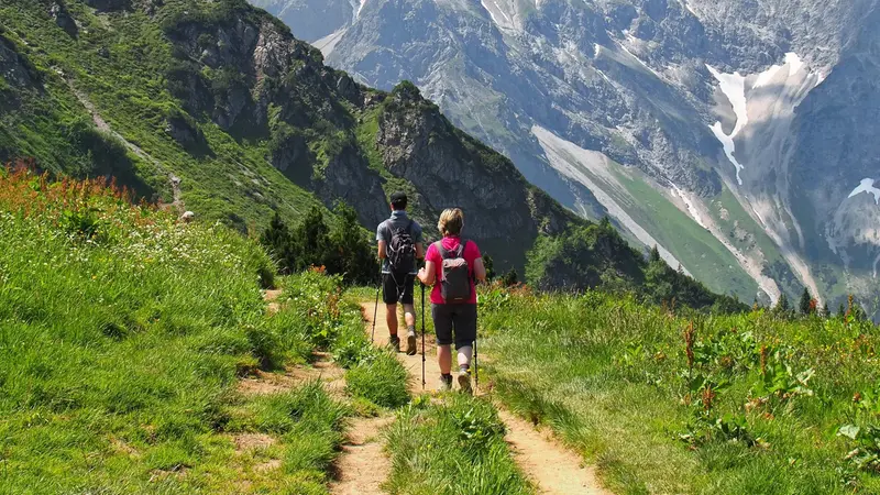 Le vipere vivono dalla pianura ai duemila metri di quota