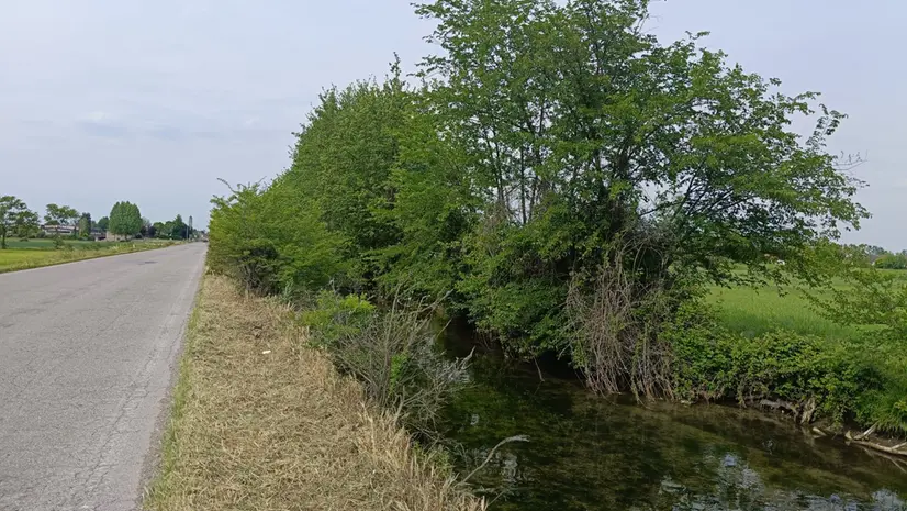 Il Naviglio all'altezza dell'ipotetica rotonda