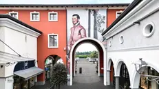 Il cavaliere in rosa