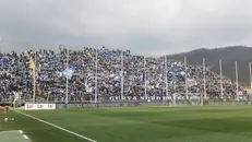 La Curva nord del Brescia - Foto New Reporter Nicoli © www.giornaledibrescia.it