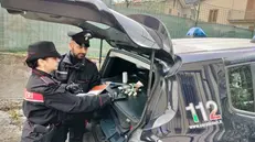 La droga rinvenuta dai carabinieri