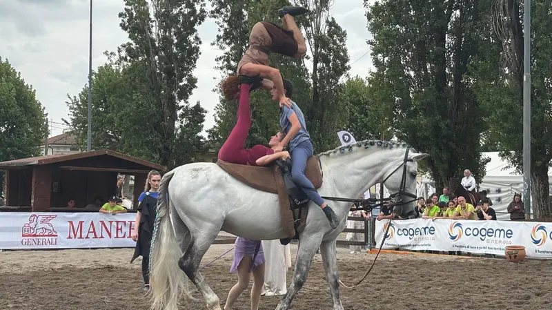 Acrobazie alla TravagliatoCavalli