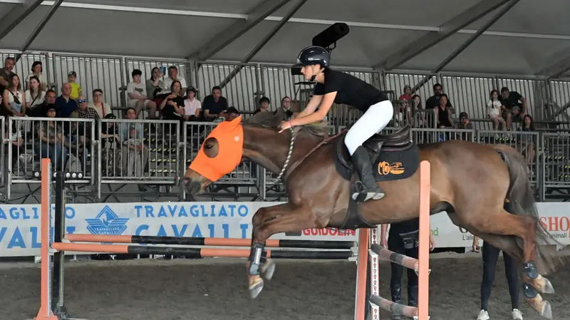 In piazza con noi da Travagliato Cavalli