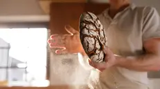 L'unica terapia per la celiachia è la dieta senza glutine