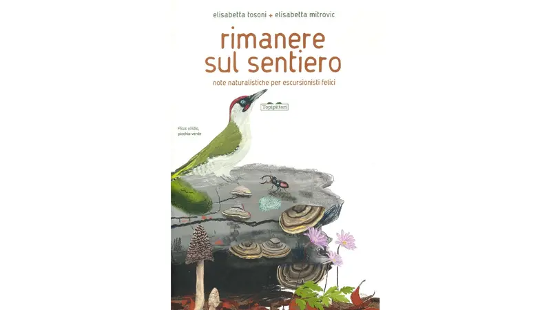 La copertina di Rimanere sul sentiero