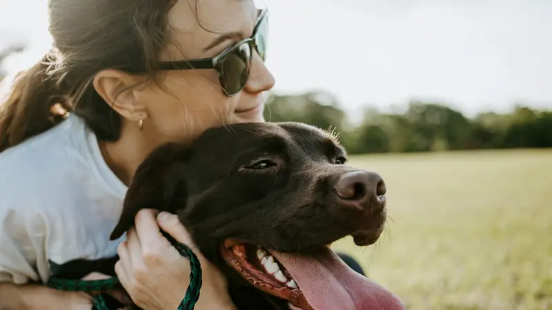 Un percorso per imparare a migliorare la relazione cane-padrone