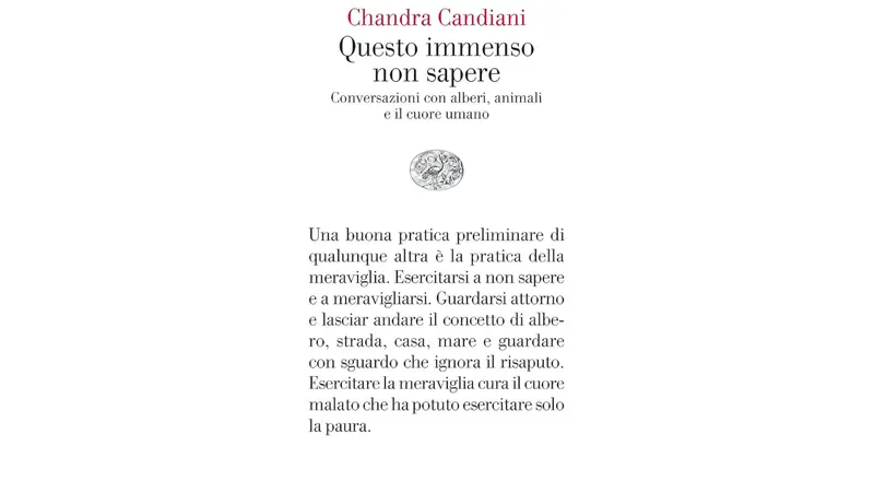 La copertina di Questo immenso non sapere