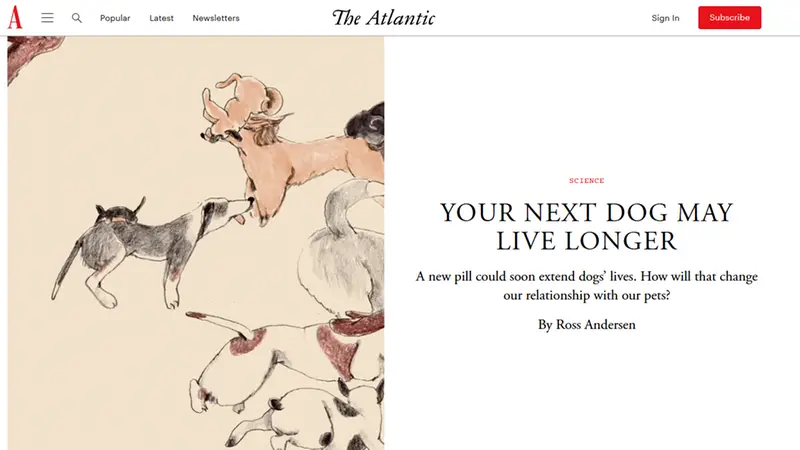 L'articolo comparso sul The Atlantic