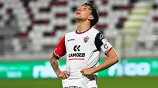 Play off serie C: le immagini di Cittadella-Lumezzane