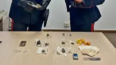 La droga sequestrata