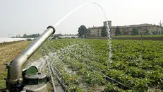 La Regione punta a finanziare sistemi irrigui più efficienti