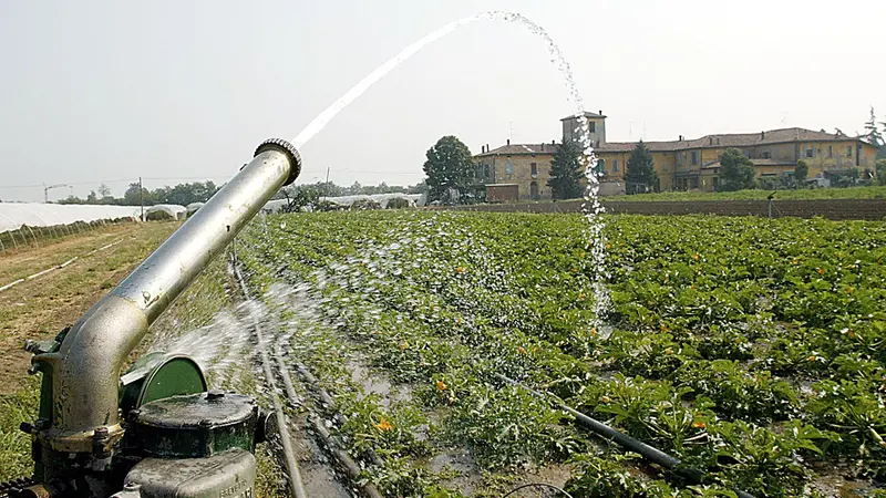 La Regione punta a finanziare sistemi irrigui più efficienti
