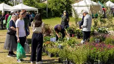 Tra fiori, storia e turismo lento