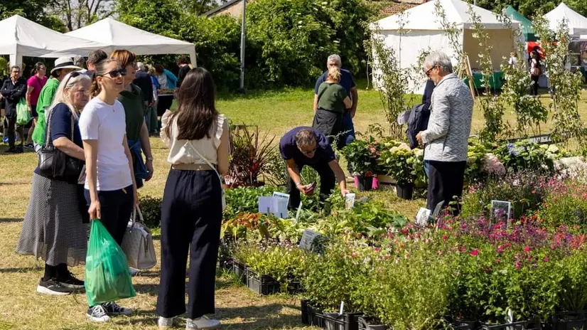 Tra fiori, storia e turismo lento