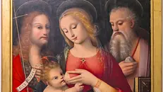 Particolare della «Madonna del Latte», opera del Brescianino