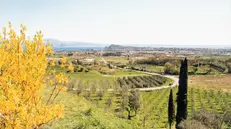Una veduta panoramica di Puegnago del Garda © www.giornaledibrescia.it