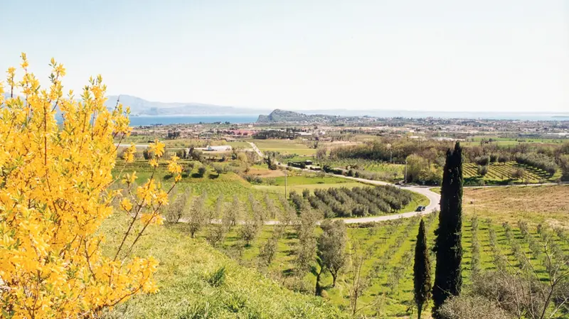 Una veduta panoramica di Puegnago del Garda © www.giornaledibrescia.it