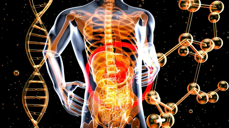 Metabolismo è l’insieme dei processi con cui il nostro corpo utilizza energia per funzionare