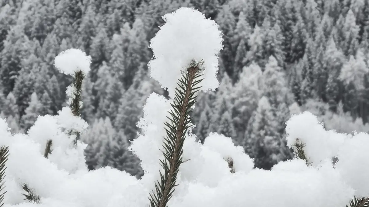 Un paesaggio innevato - © www.giornaledibrescia.it