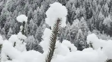 Un paesaggio innevato - © www.giornaledibrescia.it
