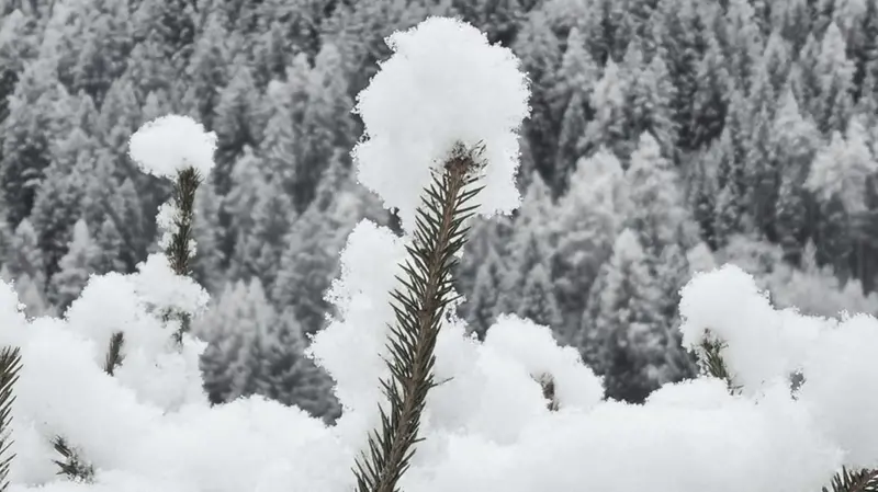 Un paesaggio innevato - © www.giornaledibrescia.it