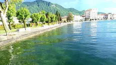 La situazione del lago d'Iseo - © www.giornaledibrescia.it
