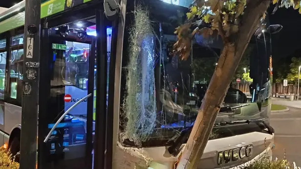 Il bus schiantato contro l'albero - © www.giornaledibrescia.it